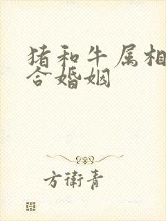 猪和牛属相合不合婚姻