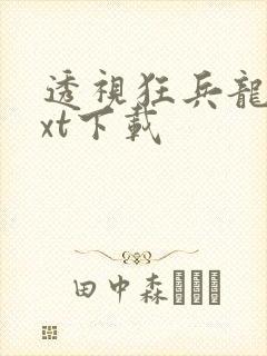 透视狂兵龙王txt下载