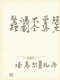 惊鸿不曾照影来短剧全集免费观看