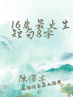 16岁最火生日短句8字