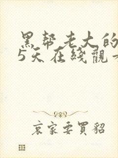 黑帮老大的365天在线观看