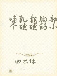 哺乳期胸部有一个硬硬的小疙瘩