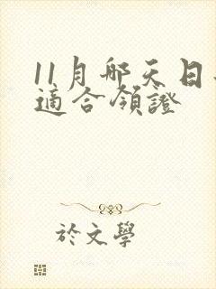 11月哪天日子适合领证