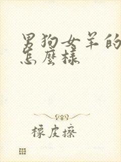 男狗女羊的婚姻怎么样