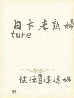 日本老熟妇mature