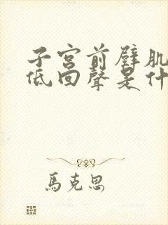 子宫前壁肌层内低回声是什么意思