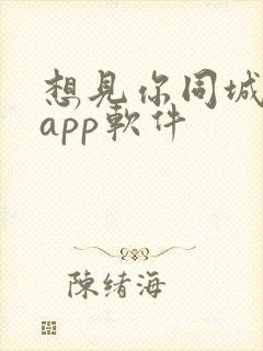 想见你同城交友app软件