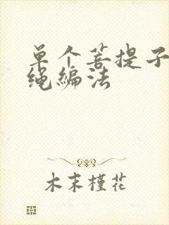 单个菩提子吊坠绳编法