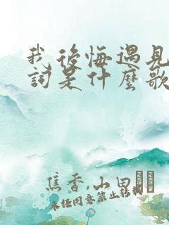 我后悔遇见你歌词是什么歌