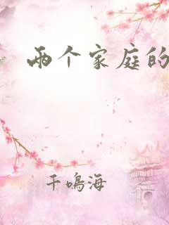 两个家庭的故事