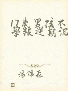 17岁男孩不上学叛逆期沉迷手机