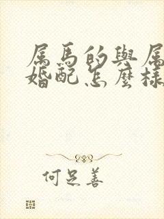 属马的与属龙的婚配怎么样