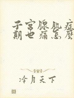 子宫腺肌症非经期也痛怎么办