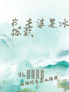 我老婆是冰山女总裁