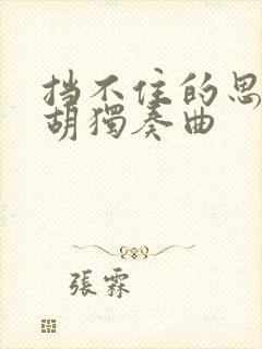 挡不住的思念二胡独奏曲