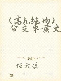 (高h,纯肉)公交车黄文