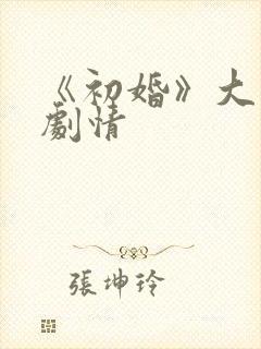 《初婚》大结局剧情