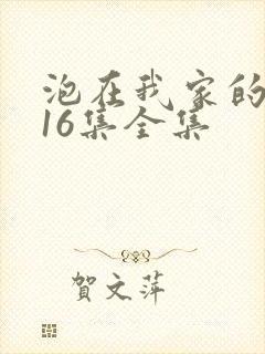 泡在我家的辣妹16集全集