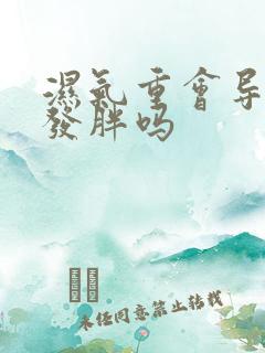 湿气重会导致人发胖吗