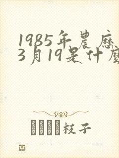 1985年农历3月19是什么星座