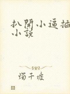 扒开小逼插进去小说