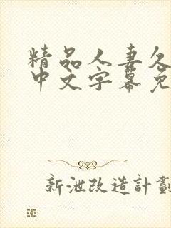 精品人妻久久久中文字幕免费