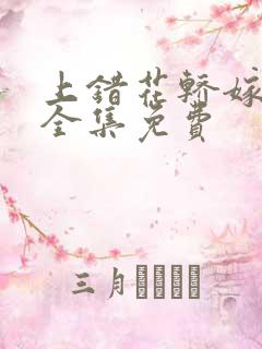 上错花轿嫁王爷全集免费