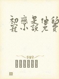 初恋是他的心尖宠小说免费阅读