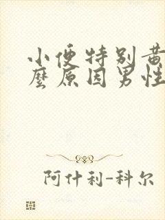 小便特别黄是什么原因男性