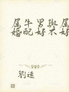 属牛男与属龙女婚配好不好