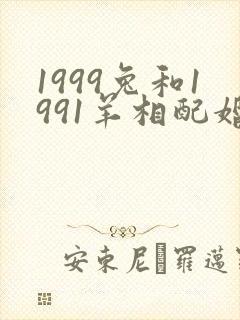 1999兔和1991羊相配婚姻如何