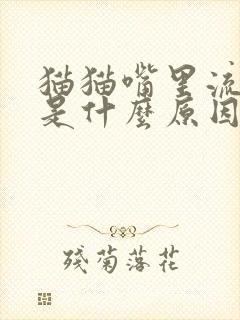 猫猫嘴里流粘液是什么原因引起的