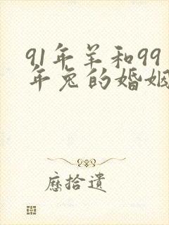 91年羊和99年兔的婚姻如何