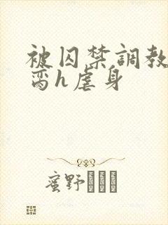 被囚禁调教成禁脔h虐身