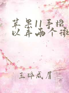 苹果11手机可以弄两个微信吗?