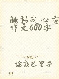 触动我心灵的—作文600字