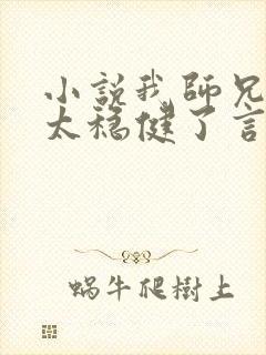 小说我师兄实在太稳健了言归正传全文