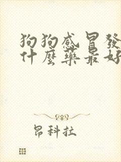 狗狗感冒发烧吃什么药最好