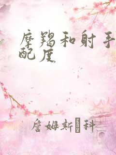 摩羯和射手的匹配度