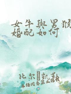 女牛与男猴属相婚配如何