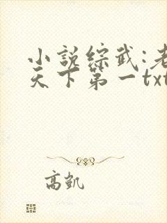 小说综武:老子天下第一txt下载