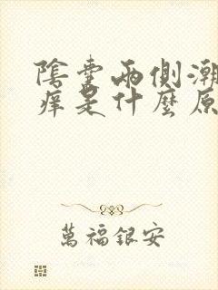 阴囊两侧潮湿瘙痒是什么原因