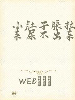 小肚子胀拉不出来尿不出来是什么原因