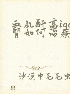 血肌酐高iga肾如何治疗