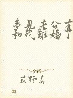 梦见老公有外遇和我离婚了