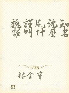 魏谨风沈知玉小说叫什么名字