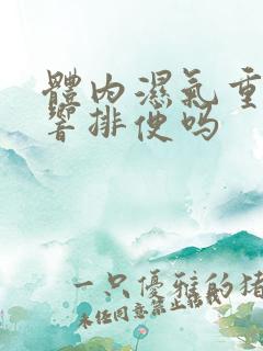 体内湿气重会影响排便吗