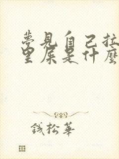 梦见自己拉裤子里屎是什么预兆