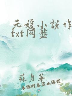 元媛小说作品集txt网盘