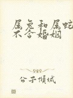 属兔和属蛇的合不合婚姻